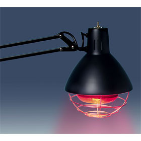 Heat Lamp w/table clamp