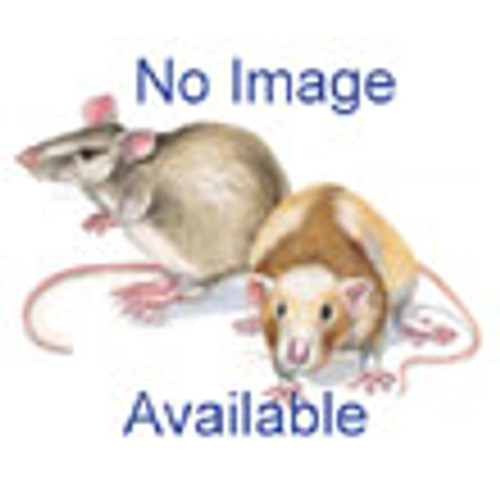 Infrared Heat Lamp Replacement Bulb Infrared Heat Lamp Replacement Bulb