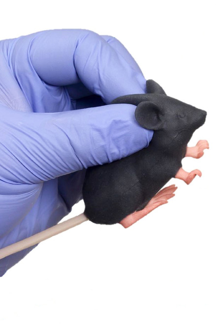 Mimicky Mouse Model Replacement Tail