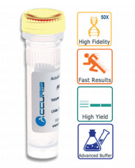 Accuris High Fidelity DNA Polymerase