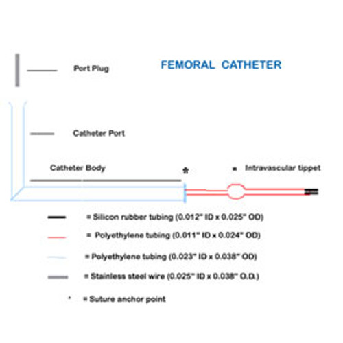 Rat Femoral Artery/Vein Catheter Rat Femoral Artery/Vein Catheter