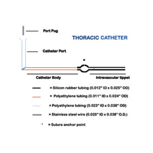 Rat Thoracic Jugular Vein Catheter Rat Thoracic Jugular Vein Catheter