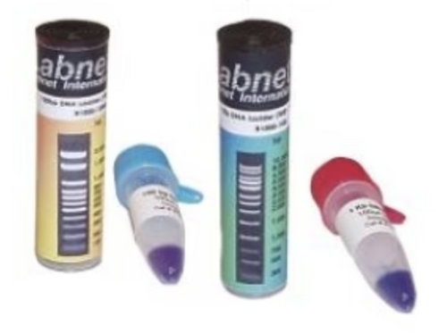 Enduro MW Marker 10 bp ladder (100-2,000 bp), 0.1 ug/ul, 500 ul vial