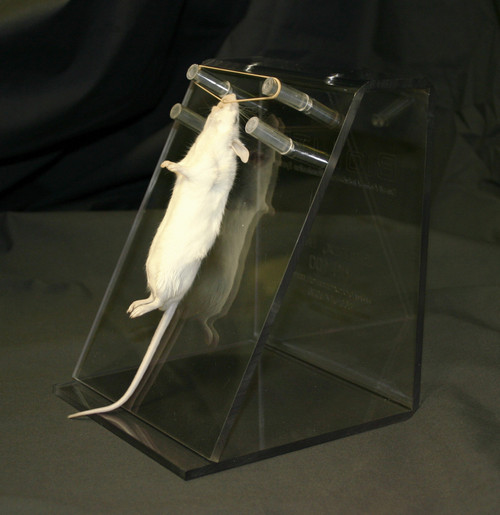 Rodent Intubation Stand