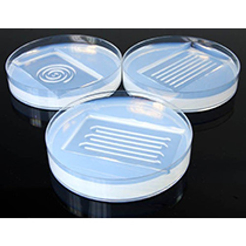 Zebrafish Microinjection & Transplantation Kit