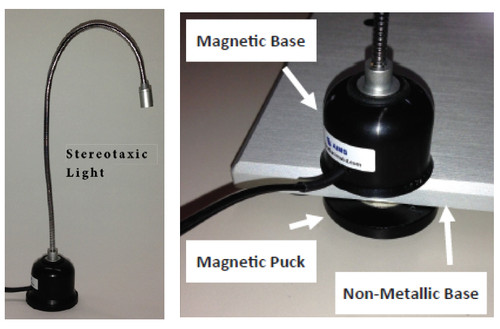 LED Stereotaxic Light