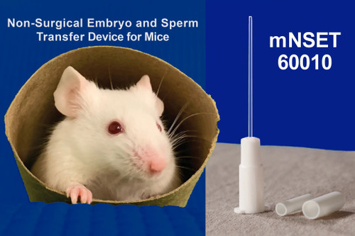 NSET Non-Surgical Embryo Transfer Device for Mice 10/pk NSET Non-Surgical Embryo Transfer Device for Mice 10/pk
