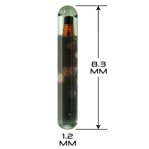 MiniMax Programmmable Microchip 1.2 x 8.3