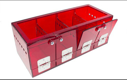 Red Acrylic Box with four compartments