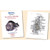 Anatomy of the Rat by Eunice Chace Greene