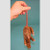 Squeekum Rat Model being held by tail