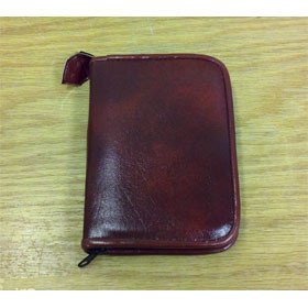 Zippered Instrument Case  Velveteen-lined 12-14 instr-