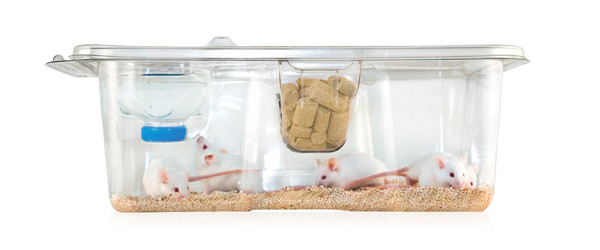 Innocage Mouse, bottom only