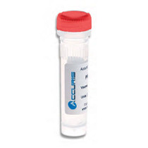 Accuris qMAX Probe qPCR Mix (20ul volume)