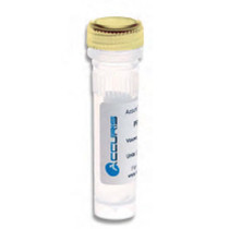 Accuris qMax cDNA Synthesis Kit
