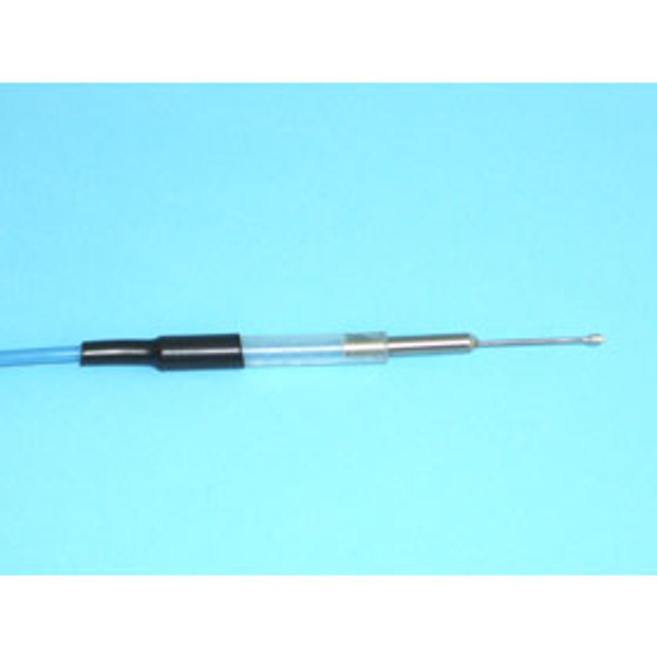 Isolated Rectal Probe