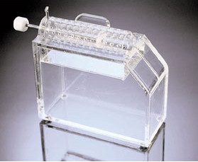 Rotating Tail Injector