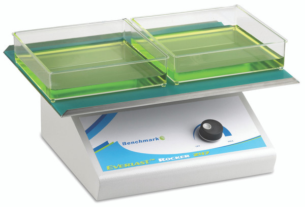 Everlast Rocker, Variable Speed and Flat Mat