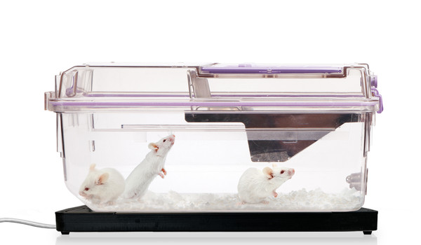 UID Mouse Matrix System