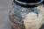 Pluto Mug w/24 karat gold, roughly 15oz size (SK8015)