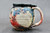Pluto Mug w/24 karat gold, roughly 16oz size (SK0528)