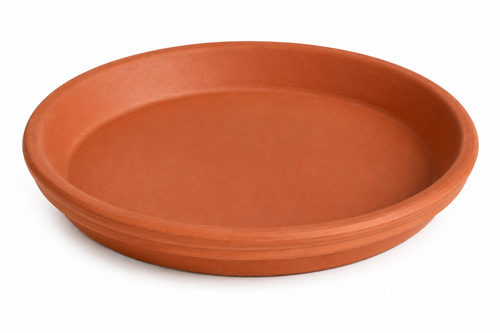 Saucer