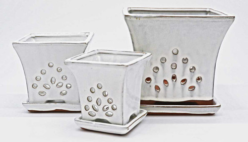 Square Orchid Pot