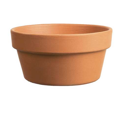Bulb Pan
