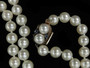 PEARL NECKLACE - 2844ja4057