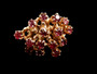 RUBY RING - 6468B3664