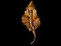 DIAMOND LEAF PIN - 6855 DG423a