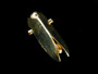 BARRY KIESELSEIN CORD CICADA PIN - 6552b537c