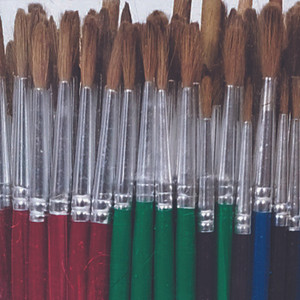 Soft Bristle Brushes