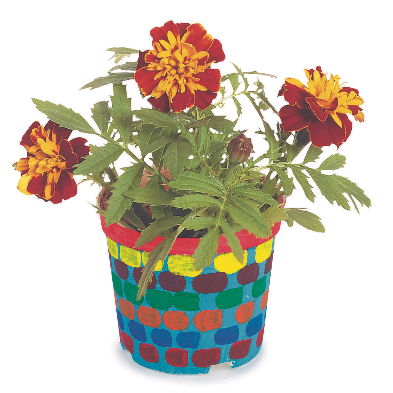 Nature Crafts Sale