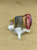 Everco 2673 Windshield Washer Pump NORS Made in USA