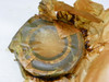 Vintage US Made 20209 Bearing NOS - New Old Stock Auto Part - High Quality - Image 4
