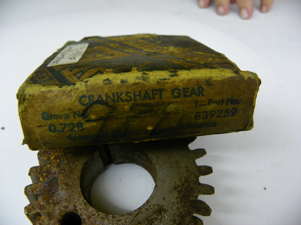 GM 839259 Crankshaft Gear for vintage auto restoration - Image 3