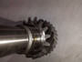 Ford 1949-50 Transmission Main Drive Gear Lion WT253-16