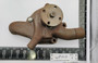 Hudson 1948-49 8 Cyl OEM 300226 Vintage Rebuilt Water Pump WP1213. Shop vintage car parts at ocpnw.com!