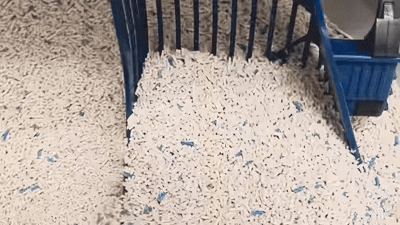 Cat litter closeup