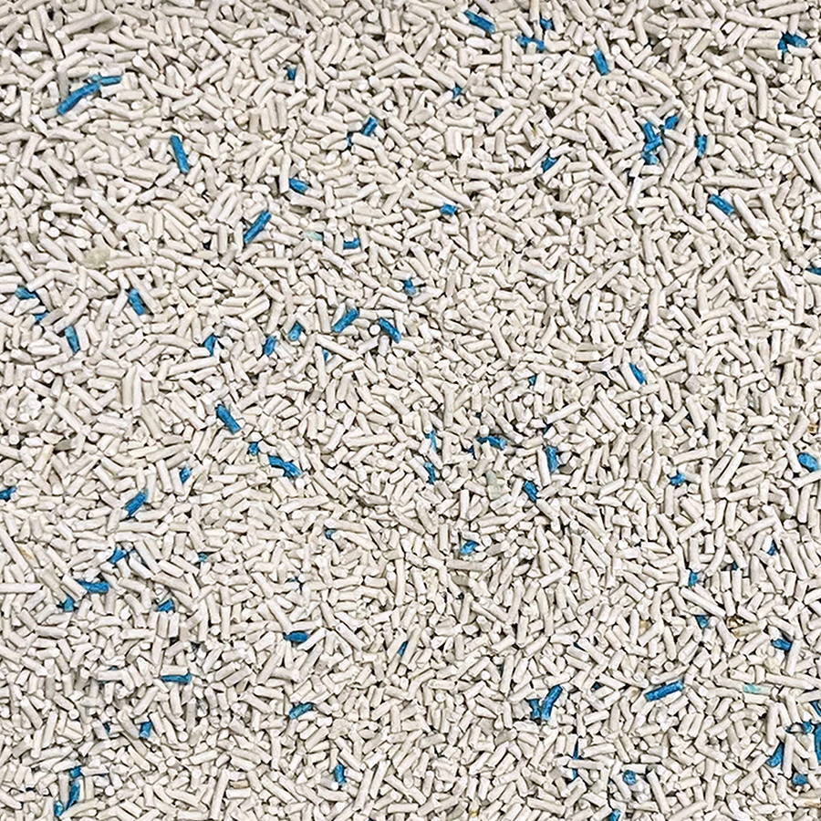 Cat litter closeup