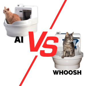 Compare Models