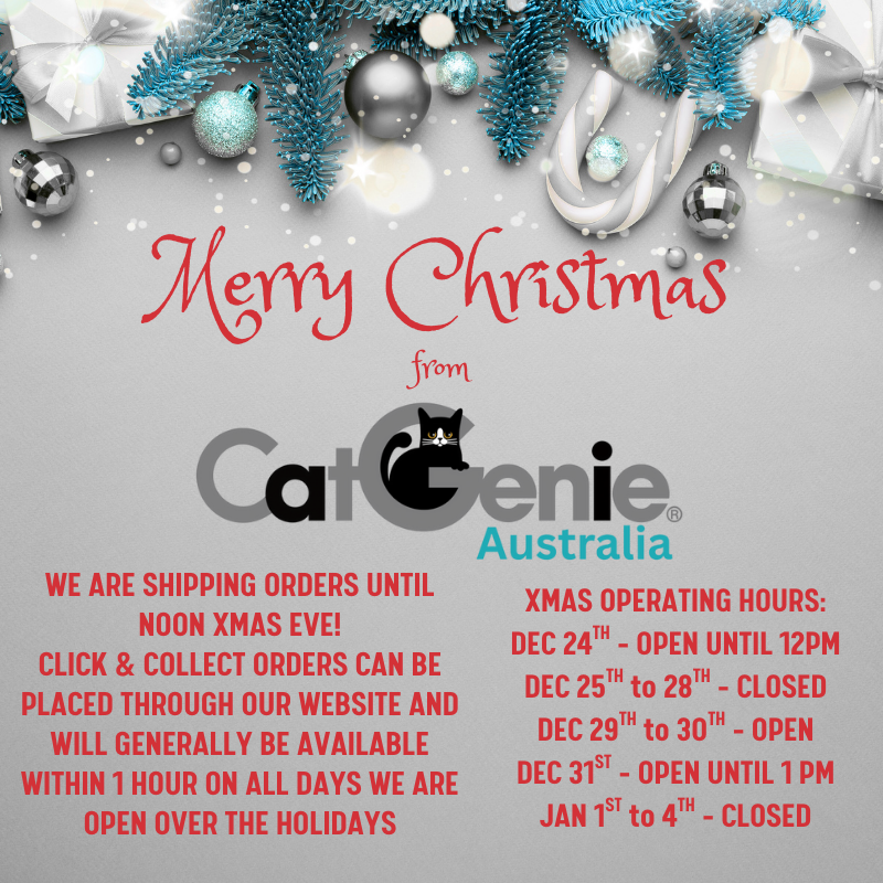 2025 Christmas Hours