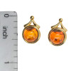 Amber Sterling Silver / 14K Gold Plated Stud Earrings