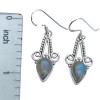 Labradorite Sterling Silver Hook Earrings