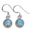 Labradorite Sterling Silver Hook Earrings