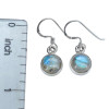 Labradorite Sterling Silver Hook Earrings