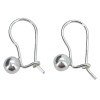 Sterling Silver Hook Earrings