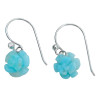 Amazonite Sterling Silver Hook Earrings