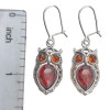 Cherry Color Amber Owl Hook Earrings